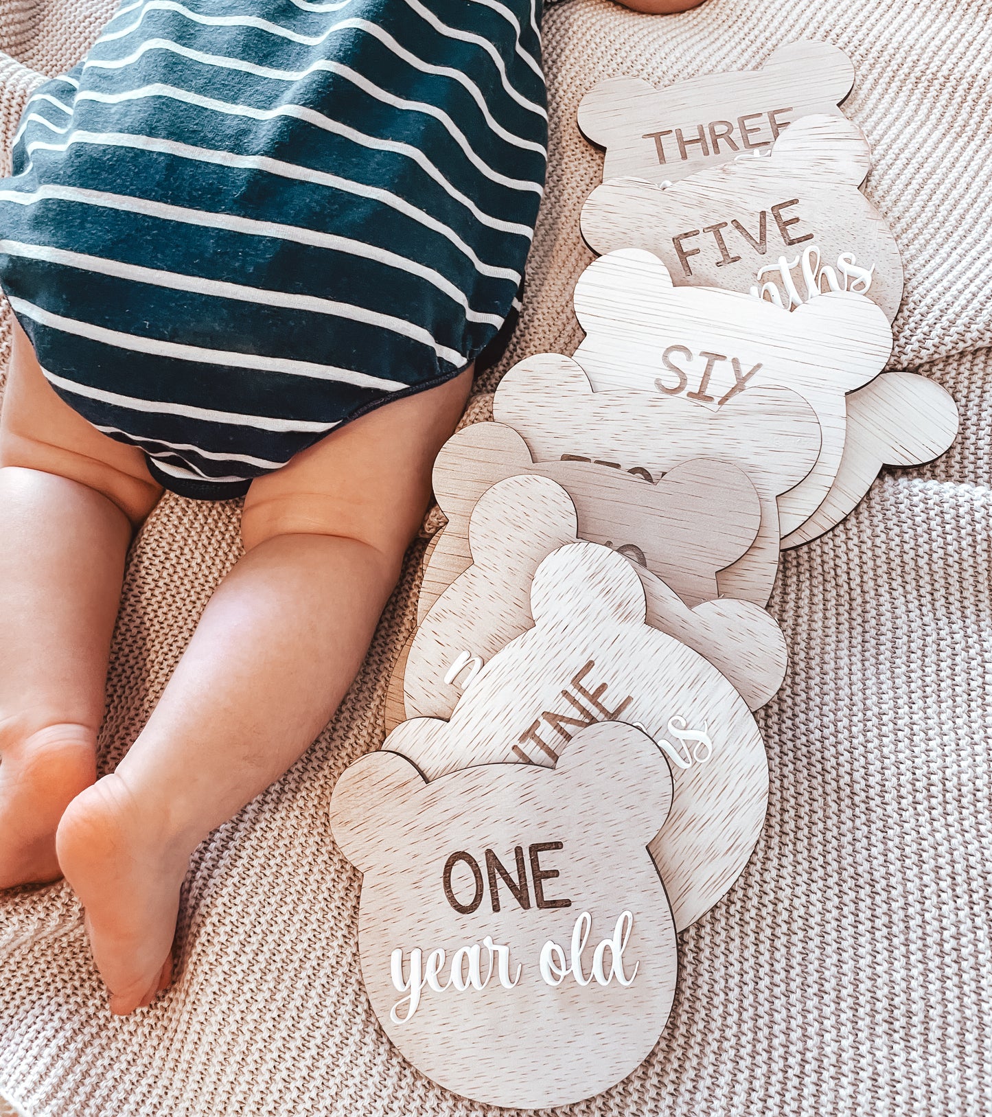 Bear Monthly Milestone Plaques (set of 12)