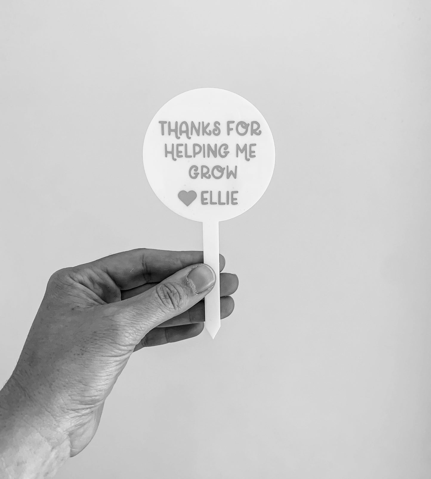Flower/Plant Stake