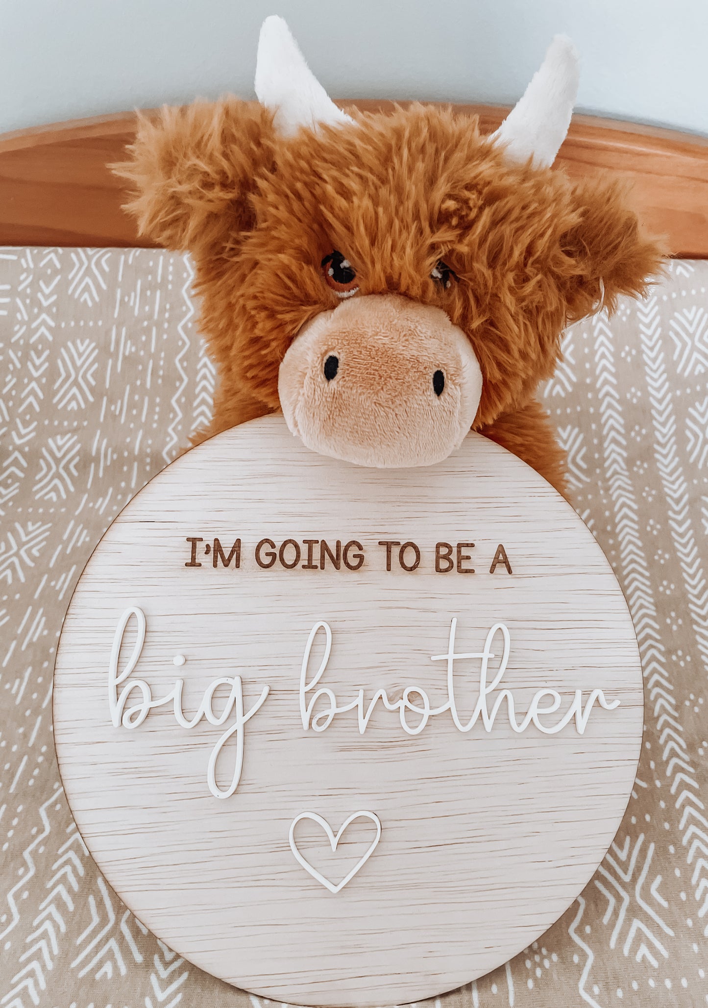 Im going to be a Big Sister/Brother Plaque